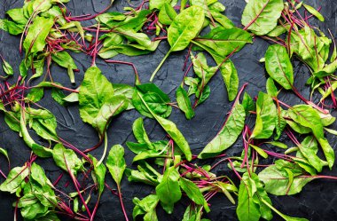 Taze organik meyve. Pancar yaprakları ya da mangolu. Gıda geçmişi.