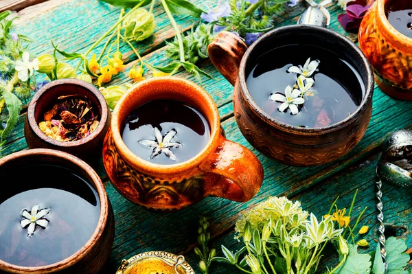 Chá Sazonal Feito Plantas Medicinais Selvagens Flores Medicina Herbal — Fotografia de Stock