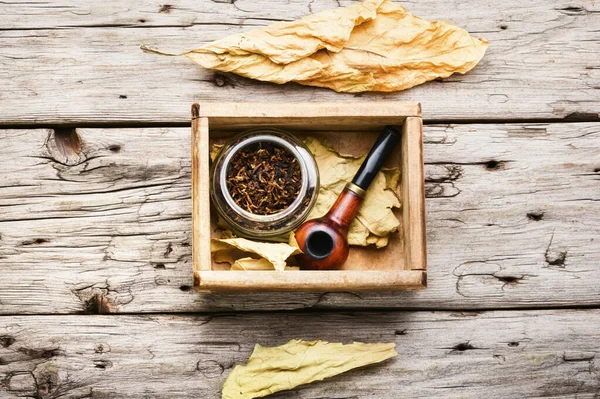 Tobaksrör Tobaksblad Och Piptobak — Stockfoto