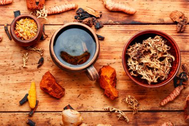 Şifalı bitkilerden bitki çayı. Şifalı bitkiler ve bitkisel ilaçların kökleri..