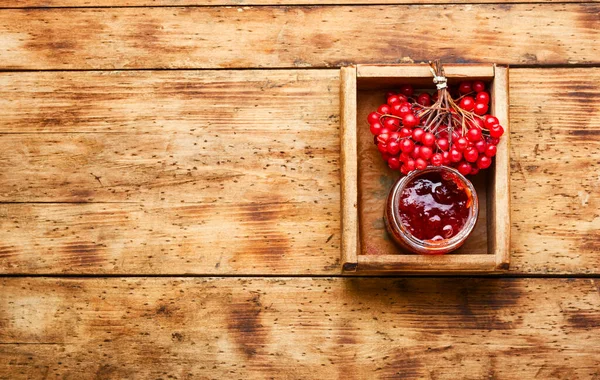 Glas Mit Marmelade Und Frischen Viburnum Beeren — Stockfoto