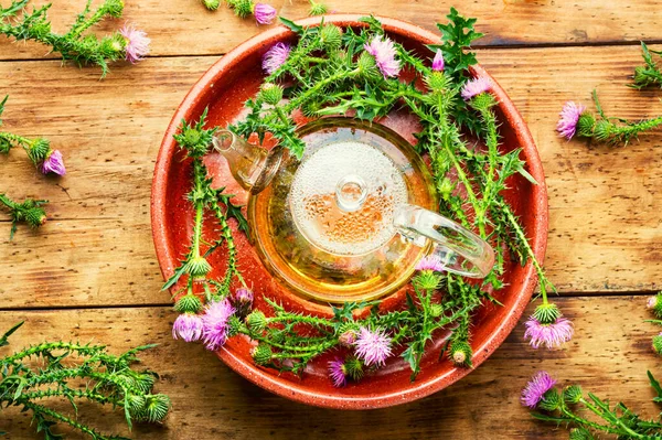 Teapot Med Medicinska Vilda Örtte Mjölktistel Eller Silybum Marianum Växtbaserade — Stockfoto