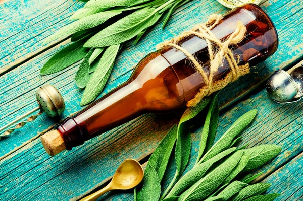 Glazen Fles Met Medicinale Tinctuur Van Verse Salie Kruidengeneeskunde Salvia — Stockfoto