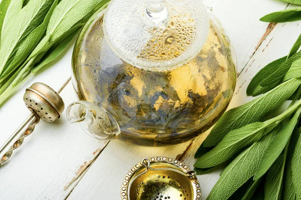 Kokulu Taze Adaçaylı Çay Salvia Bitkisel Ilaçlar — Stok fotoğraf