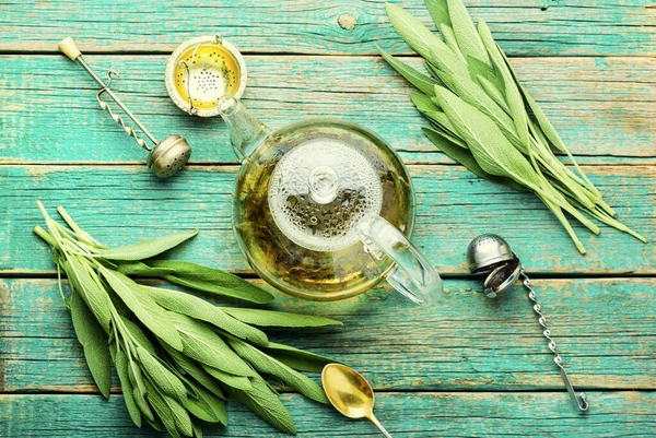 Tea Fragrant Leaves Fresh Sage Salvia Herbal Medicine — Stock Photo, Image