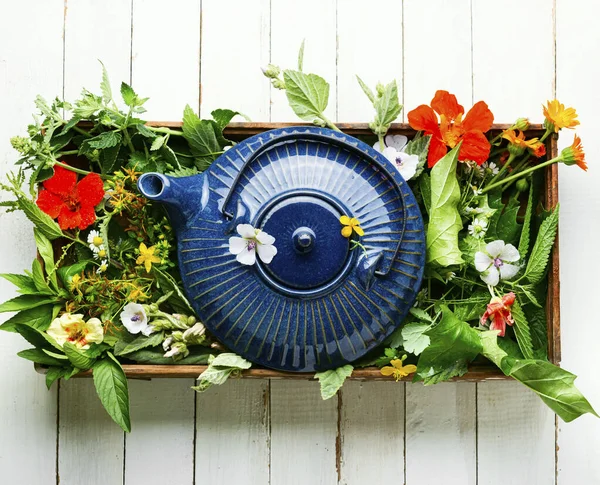 Healing Herbal Tea Teapot Tea Made Fresh Wild Herbs Herbal — Stock Photo, Image