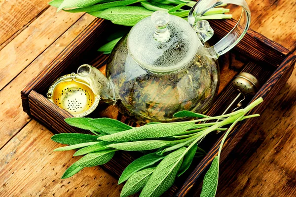 Kokulu taze adaçaylı çay. Salvia ve bitkisel ilaçlar.