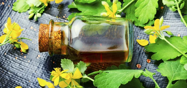 Healing Tincture Celandine Bottle Herbal Medicine Medicinal Plant Celandine — Stock Photo, Image