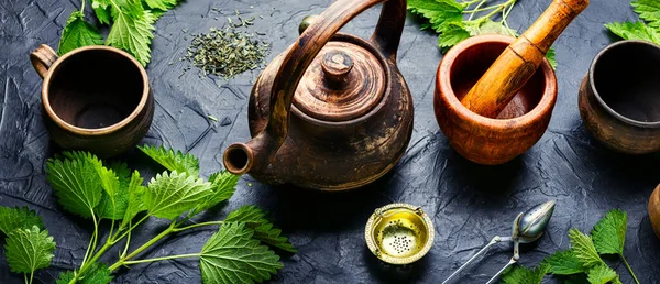 Bylinkový Čaj Listovím Kopřivy Bylinková Medicína Homeopatie — Stock fotografie