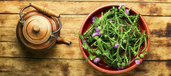 Melkdistel Silybum Marianum Kruidengeneeskunde Houten Tafel — Stockfoto