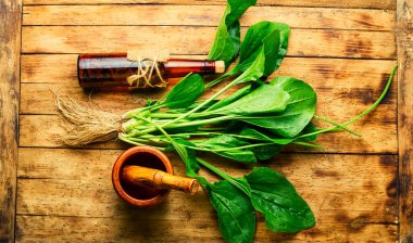 Cam şişedeki bitki tentürü. Şifa iksiri, bitkisel ilaç.