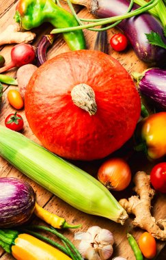 Taze yaz ve sonbahar sebze koleksiyonu. Çiğ sebze çeşitleri.