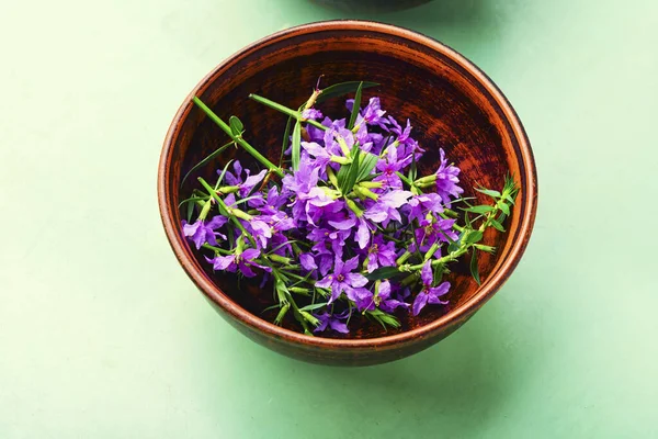 Ivan Tea Bowl Blooming Willow Herb Herbal Medicine Medicative Blooming — Stock Photo, Image