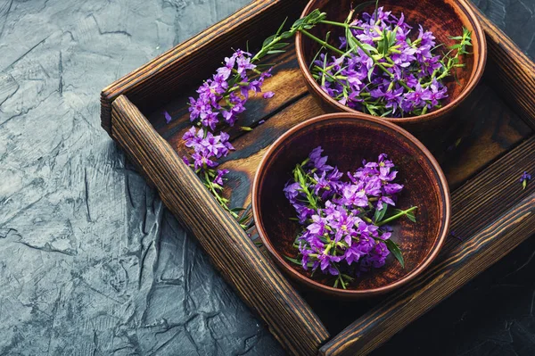 Ivan Tea Clay Bowl Blooming Willow Herb Herbal Medicine Russian — Stock Photo, Image
