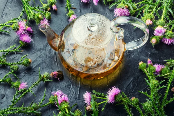 Τσαγιέρα Φαρμακευτικό Άγριο Βοτανικό Τσάι Γάλα Γαϊδουράγκαθο Silybum Marianum Στην — Φωτογραφία Αρχείου