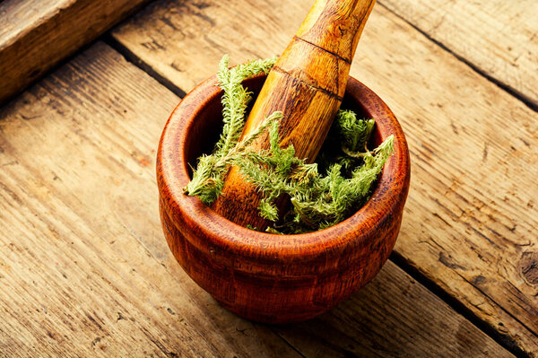 Dried healing plants in a mortar and pestle.Lycopodium in herbal medicine