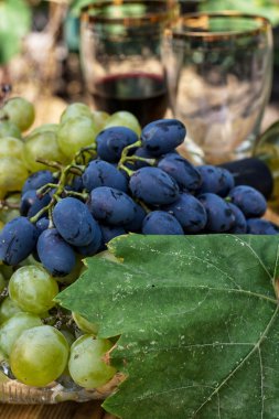 olgunlaşmış üzümler