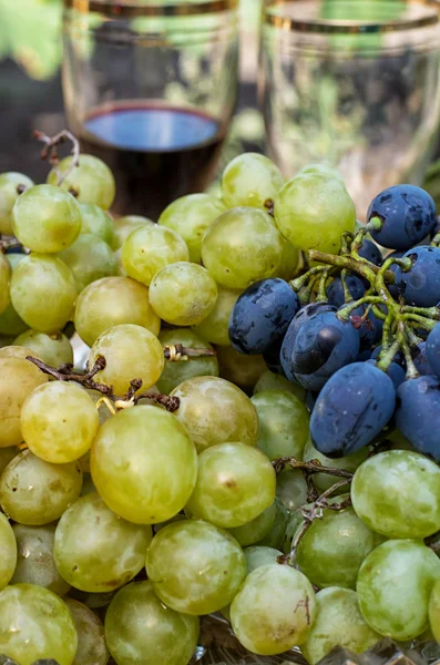 olgunlaşmış üzümler