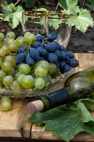 olgunlaşmış üzümler