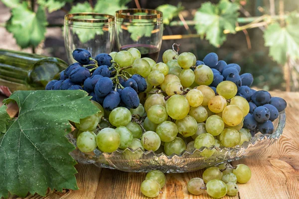 olgunlaşmış üzümler