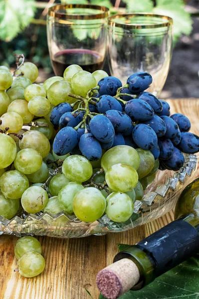 Wijnstokken rijpe druiven — Stockfoto