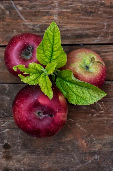 Frisch geerntete Äpfel — Stockfoto