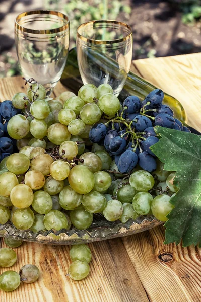 Свежесобранный виноград — стоковое фото