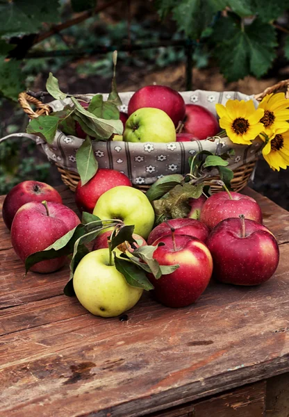 Äpfel — Stockfoto