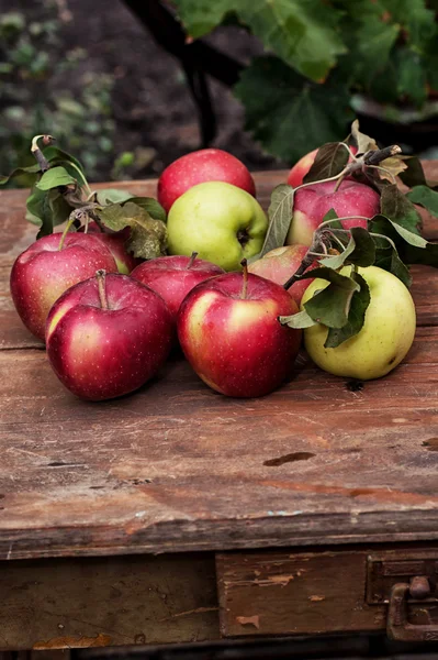 Manzanas cosechadas —  Fotos de Stock