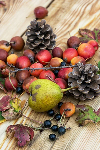 Autumn harvest — Stock Photo, Image