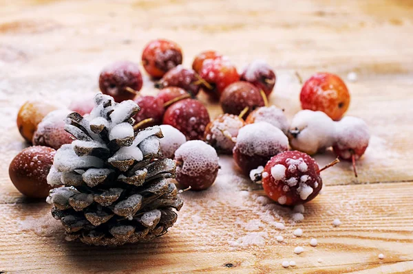 Frutos cobertos de neve de maçãs anãs — Fotografia de Stock