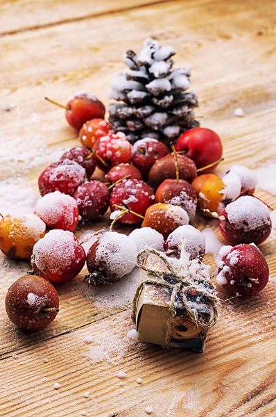 Snow-covered fruits of dwarf apples — Stock Photo, Image