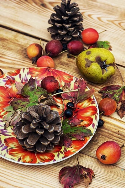 Autumn fruits and berries on wooden table — Stock Photo, Image