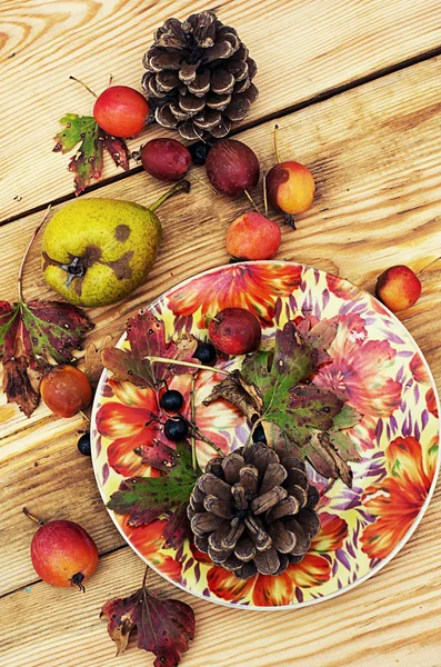 Autumn fruits and berries on wooden table — Stock Photo, Image