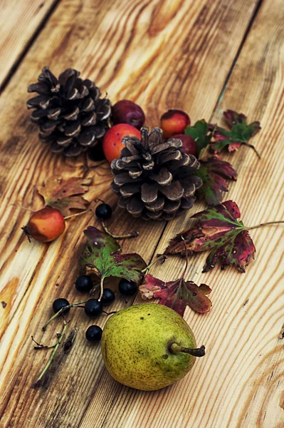 Höstens frukter och bär på träbord — Stockfoto