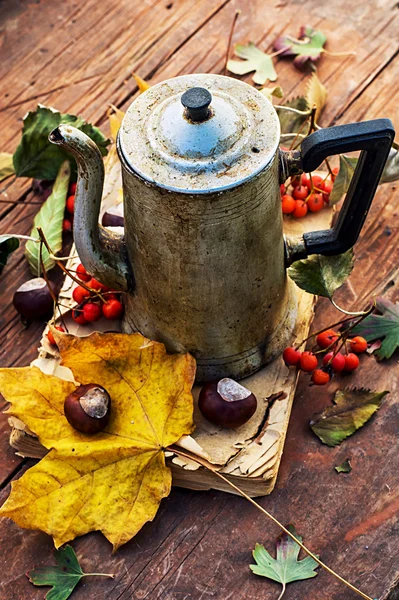 Hojas caídas de otoño — Foto de Stock