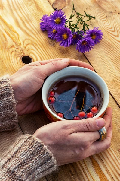 Händer med en mugg hösten frukt te — Stockfoto