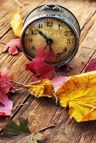 Старые часы на фоне опавших листьев Лицензионные Стоковые Фото