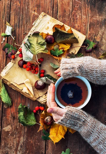 Vrouwelijke hand met een mok van warme herfst thee — Stockfoto