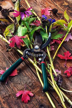 Bahçe makası kesme arka plan üzerinde dallar, çiçek ve yaprakları