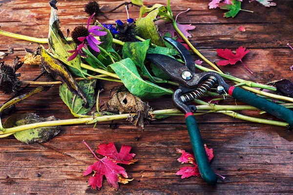 Tijeras de jardín en el fondo de las ramas cortadas, flores y hojas — Foto de Stock