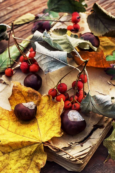 Autumn weather — Stock Photo, Image