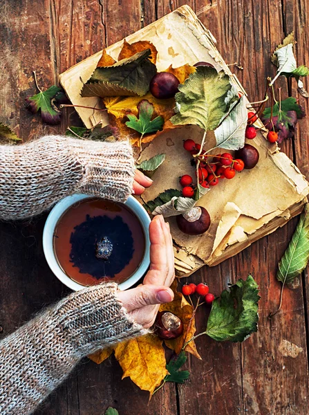 Händer med en mugg hösten frukt te — Stockfoto