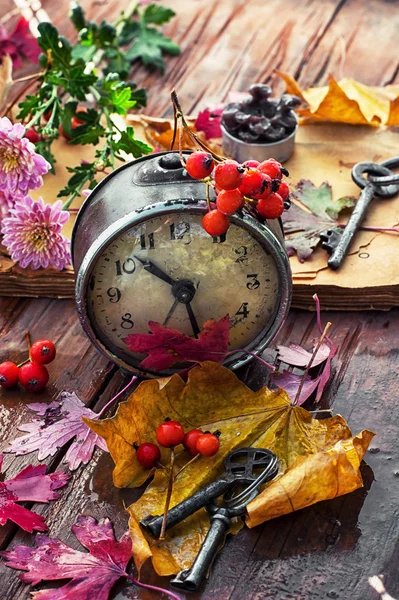 Stary zegar na tle opadłych liści — Zdjęcie stockowe