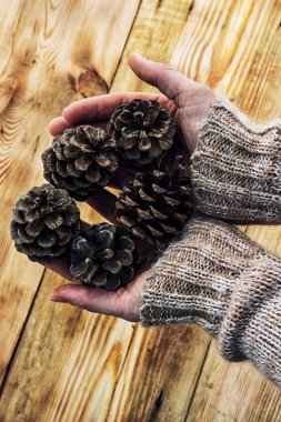 çam kozalakları üzerindeki ahşap arka plan