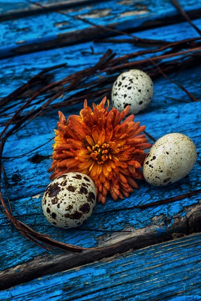 Easter — Stock Photo, Image