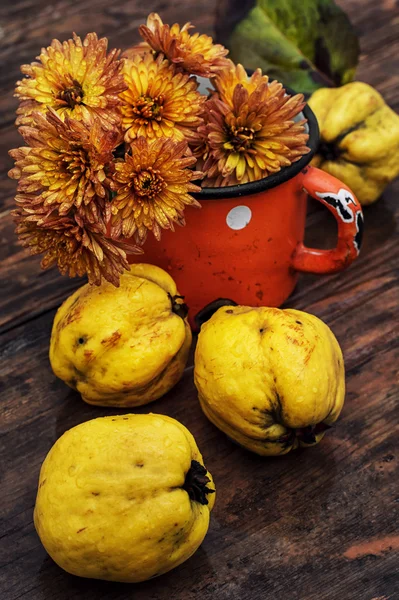 Quince — Stock Photo, Image