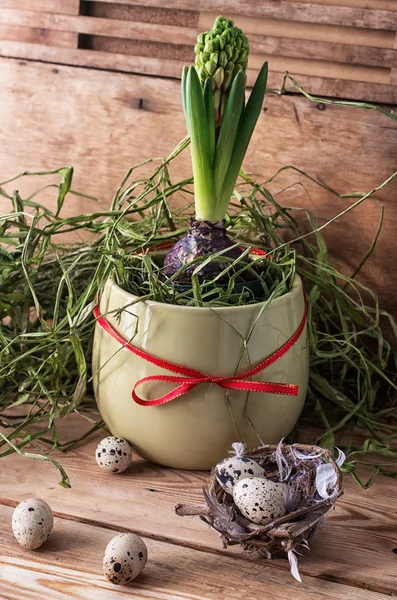 Spring decoration — Stock Photo, Image