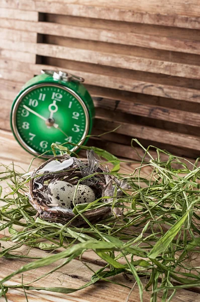 Federzusammensetzung — Stockfoto