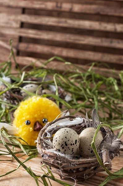 Ninho com ovos de codorniz e pintinho — Fotografia de Stock